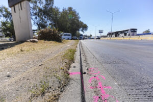 Foto. Cortesía / Gobierno de Jalisco