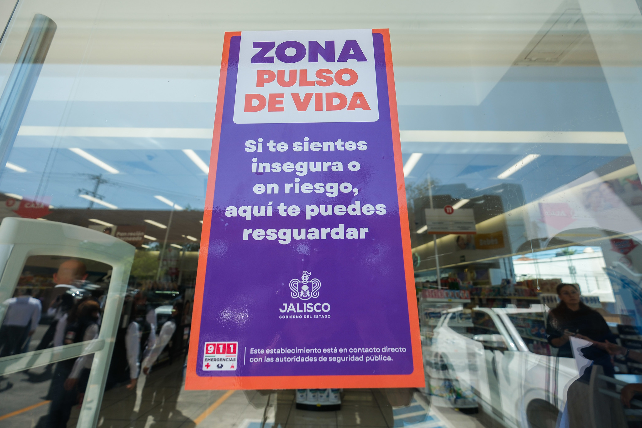 Zona pulso de vida