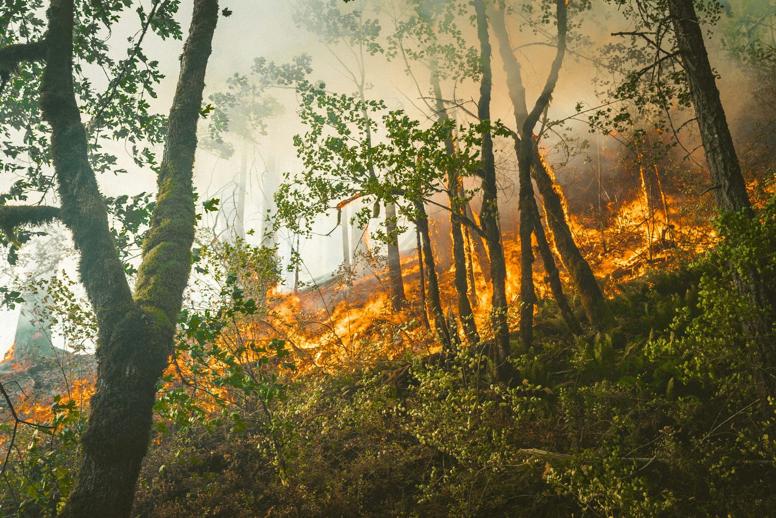 incendio-unsplash