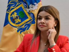 El Centinela: A ocho años del activismo ciudadano, la protección legal sigue trabada en el Congreso