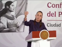 Sheinbaum niega investigación contra Rocha Moya
